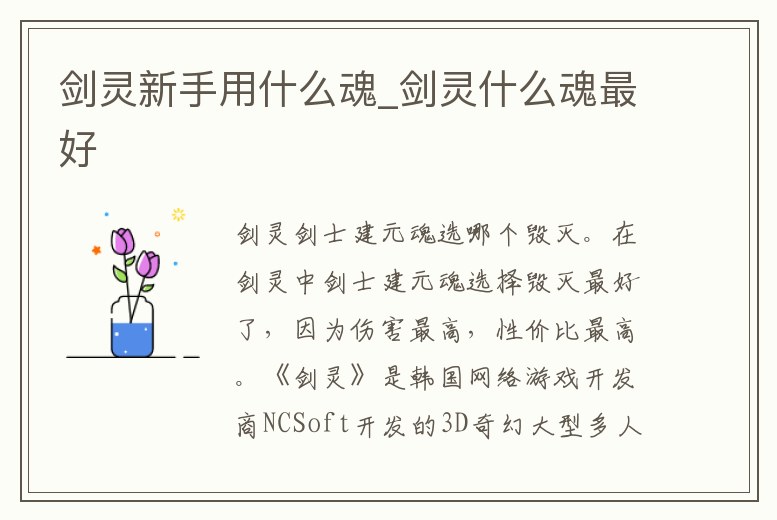 劍靈新手用什么魂_劍靈什么魂最好