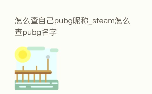 怎么查自己pubg昵稱_steam怎么查pubg名字