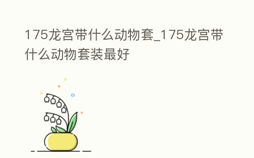 175龍宮帶什么動物套_175龍宮帶什么動物套裝最好