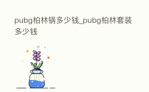 pubg柏林鍋多少錢_pubg柏林套裝多少錢