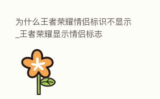 為什么王者榮耀情侶標識不顯示_王者榮耀顯示情侶標志