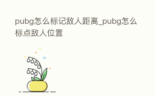 pubg怎么標(biāo)記敵人距離_pubg怎么標(biāo)點敵人位置