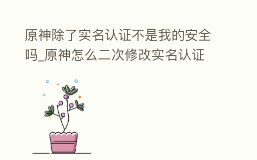 原神除了實名認證不是我的安全嗎_原神怎么二次修改實名認證