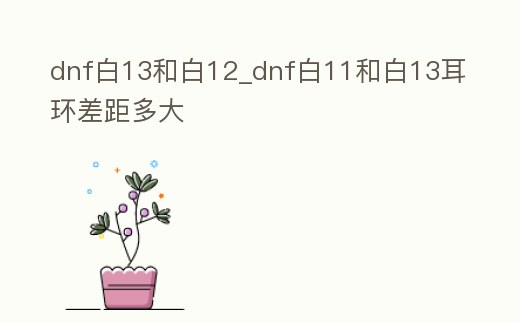 dnf白13和白12_dnf白11和白13耳環差距多大