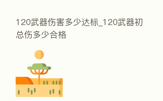 120武器傷害多少達標_120武器初總傷多少合格