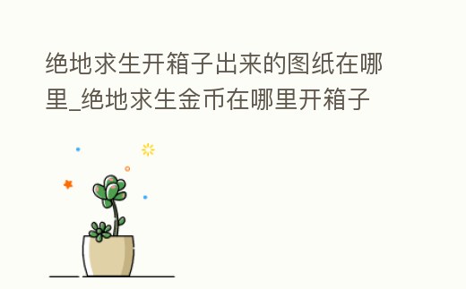 絕地求生開箱子出來的圖紙在哪里_絕地求生金幣在哪里開箱子