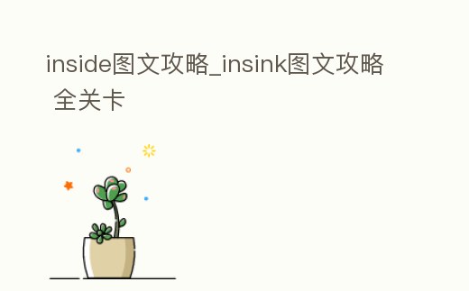 inside圖文攻略_insink圖文攻略 全關卡