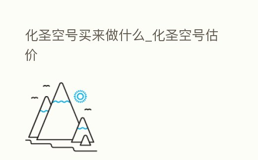 化圣空號買來做什么_化圣空號估價