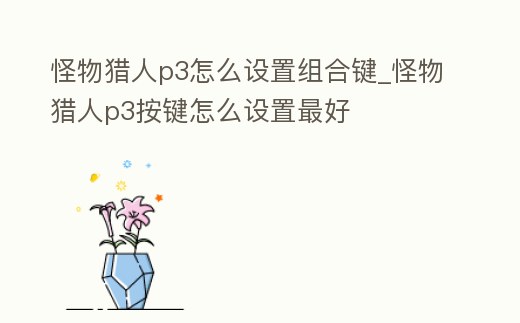 怪物獵人p3怎么設置組合鍵_怪物獵人p3按鍵怎么設置最好