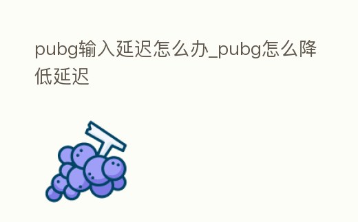 pubg輸入延遲怎么辦_pubg怎么降低延遲