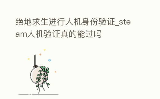 絕地求生進(jìn)行人機(jī)身份驗證_steam人機(jī)驗證真的能過嗎