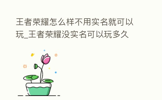 王者榮耀怎么樣不用實名就可以玩_王者榮耀沒實名可以玩多久
