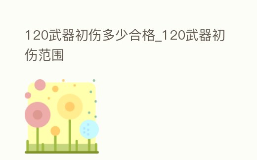 120武器初傷多少合格_120武器初傷范圍
