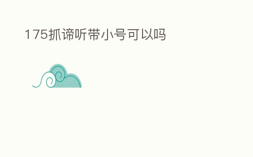 175抓諦聽帶小號可以嗎