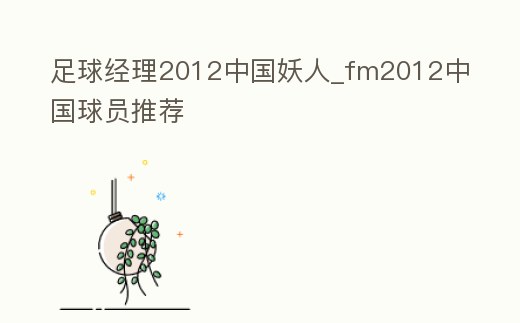 足球經(jīng)理2012中國妖人_fm2012中國球員推薦