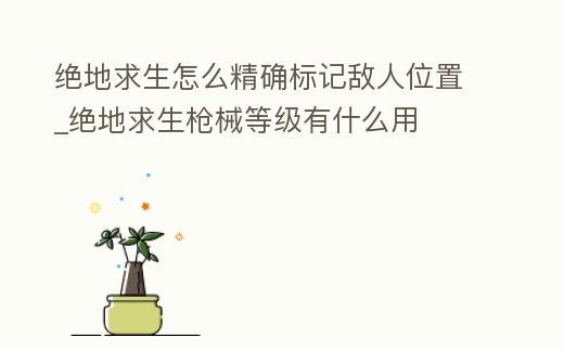 絕地求生怎么精確標(biāo)記敵人位置_絕地求生槍械等級(jí)有什么用
