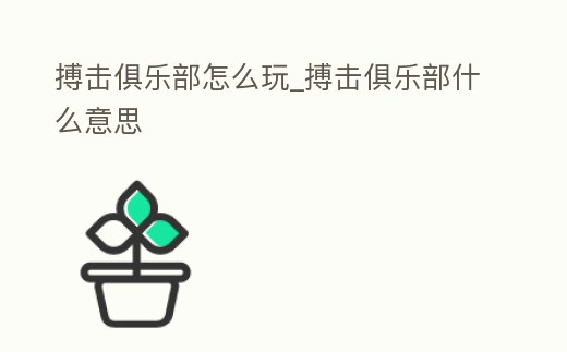 搏擊俱樂部怎么玩_搏擊俱樂部什么意思