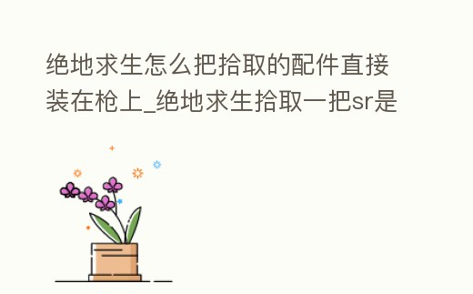 絕地求生怎么把拾取的配件直接裝在槍上_絕地求生拾取一把sr是什么槍