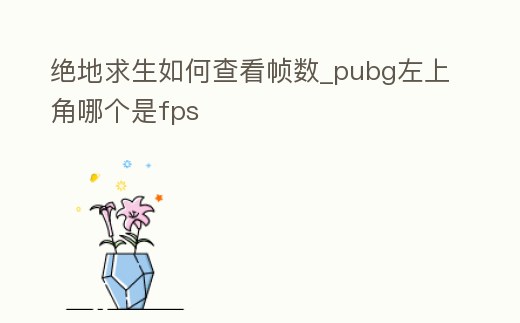 絕地求生如何查看幀數_pubg左上角哪個是fps