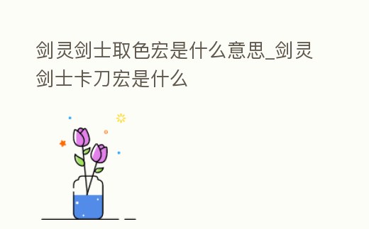劍靈劍士取色宏是什么意思_劍靈劍士卡刀宏是什么