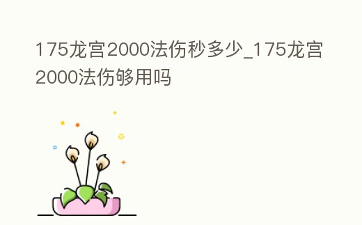 175龍宮2000法傷秒多少_175龍宮2000法傷夠用嗎