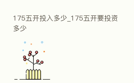 175五開投入多少_175五開要投資多少