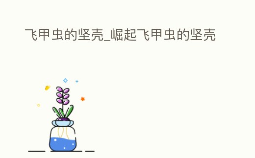 飛甲蟲的堅殼_崛起飛甲蟲的堅殼