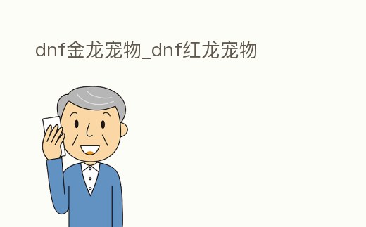 dnf金龍寵物_dnf紅龍寵物