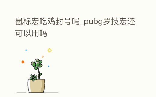 鼠標宏吃雞封號嗎_pubg羅技宏還可以用嗎