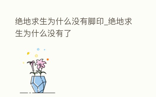 絕地求生為什么沒有腳印_絕地求生為什么沒有了