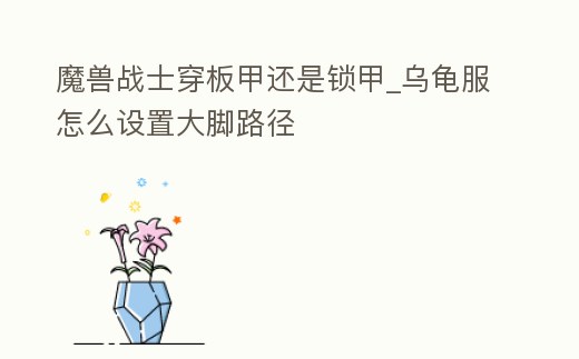 魔獸戰(zhàn)士穿板甲還是鎖甲_烏龜服怎么設(shè)置大腳路徑