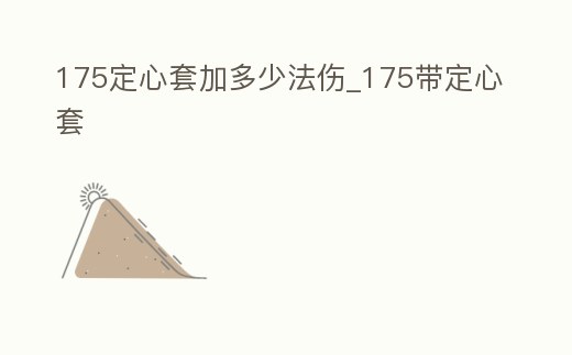 175定心套加多少法傷_175帶定心套