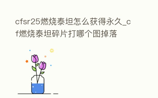 cfsr25燃燒泰坦怎么獲得永久_cf燃燒泰坦碎片打哪個圖掉落