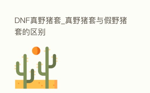 DNF真野豬套_真野豬套與假野豬套的區別