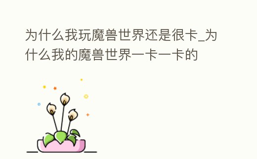 為什么我玩魔獸世界還是很卡_為什么我的魔獸世界一卡一卡的