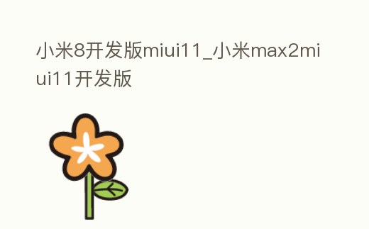 小米8開發(fā)版miui11_小米max2miui11開發(fā)版