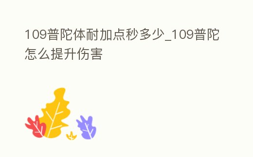 109普陀體耐加點秒多少_109普陀怎么提升傷害