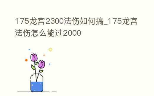 175龍宮2300法傷如何搞_175龍宮法傷怎么能過2000