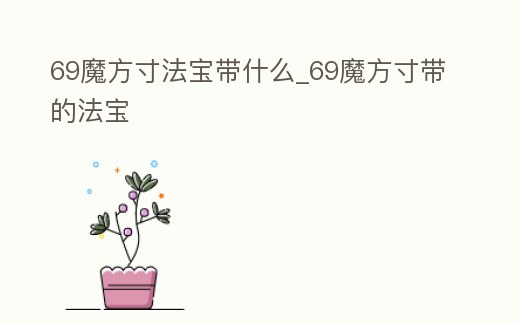 69魔方寸法寶帶什么_69魔方寸帶的法寶