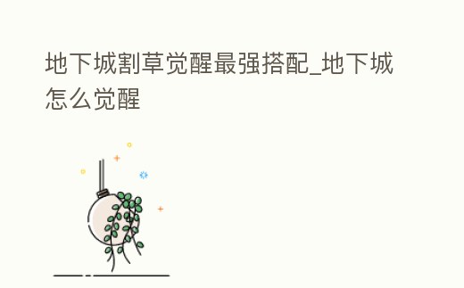 地下城割草覺醒最強搭配_地下城怎么覺醒