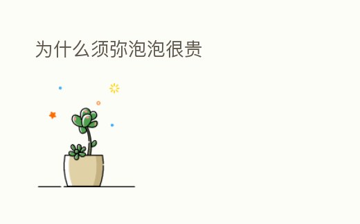 為什么須彌泡泡很貴