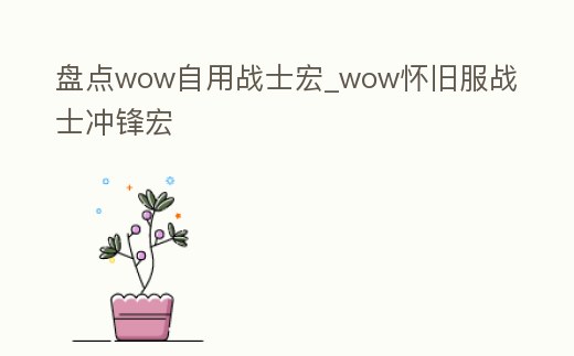 盤點wow自用戰士宏_wow懷舊服戰士沖鋒宏