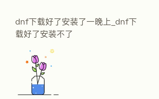 dnf下載好了安裝了一晚上_dnf下載好了安裝不了