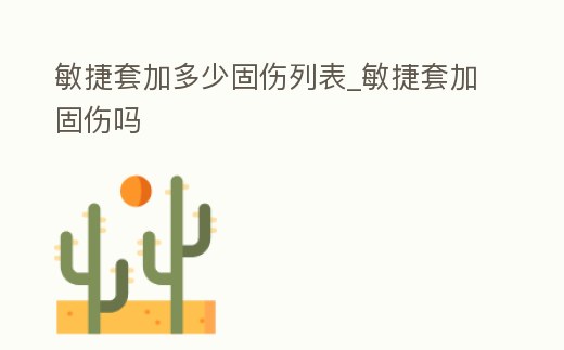 敏捷套加多少固傷列表_敏捷套加固傷嗎