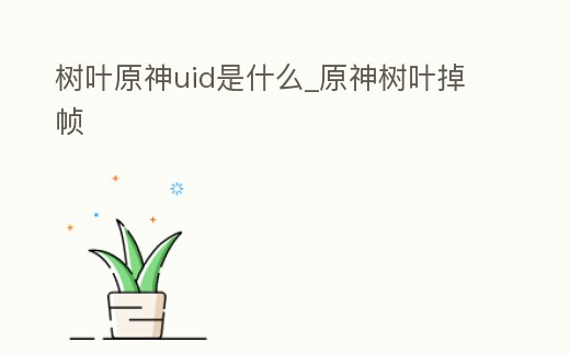樹(shù)葉原神uid是什么_原神樹(shù)葉掉幀