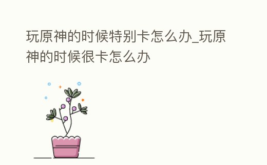 玩原神的時候特別卡怎么辦_玩原神的時候很卡怎么辦