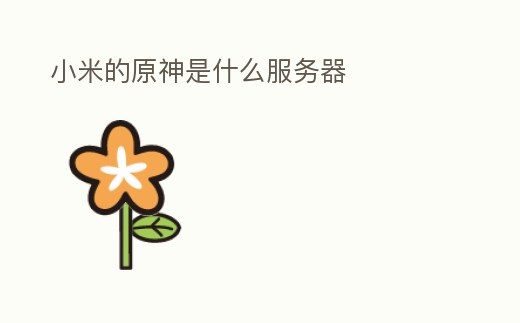 小米的原神是什么服務器