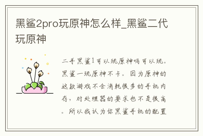 黑鯊2pro玩原神怎么樣_黑鯊二代玩原神