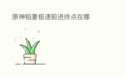 原神稻妻極速前進終點在哪