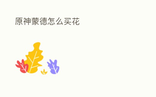 原神蒙德怎么買花